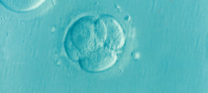 Bioetica: significato e significati (I Parte)